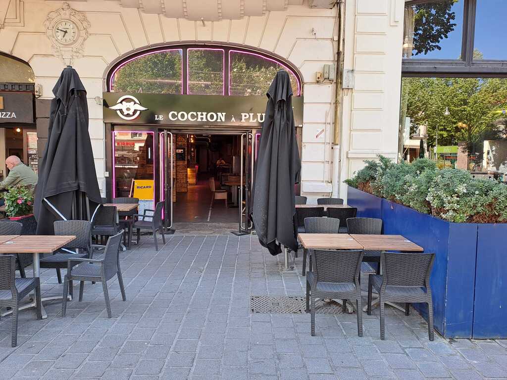 Le Cochon à Plumes
