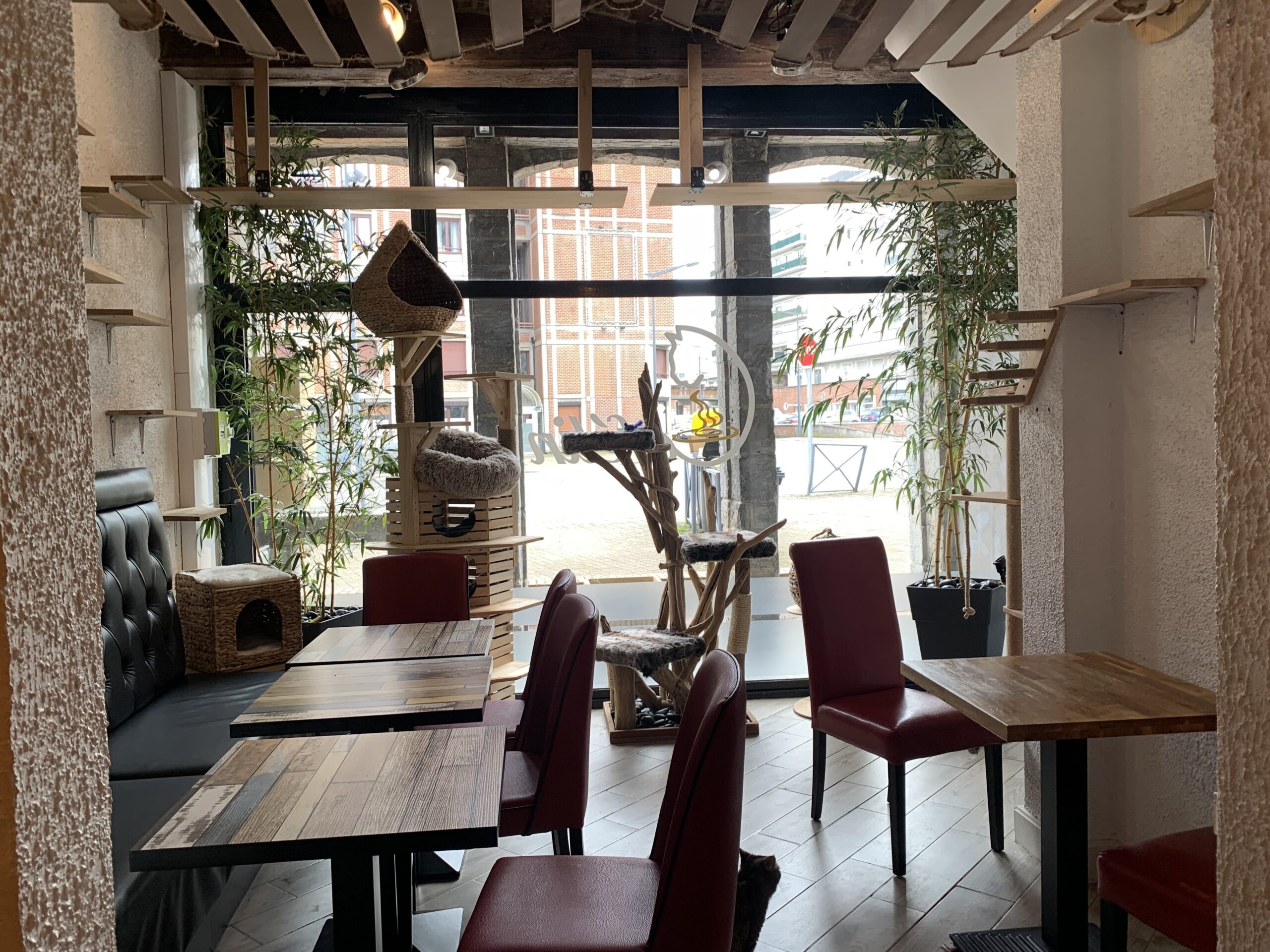 Cafélin