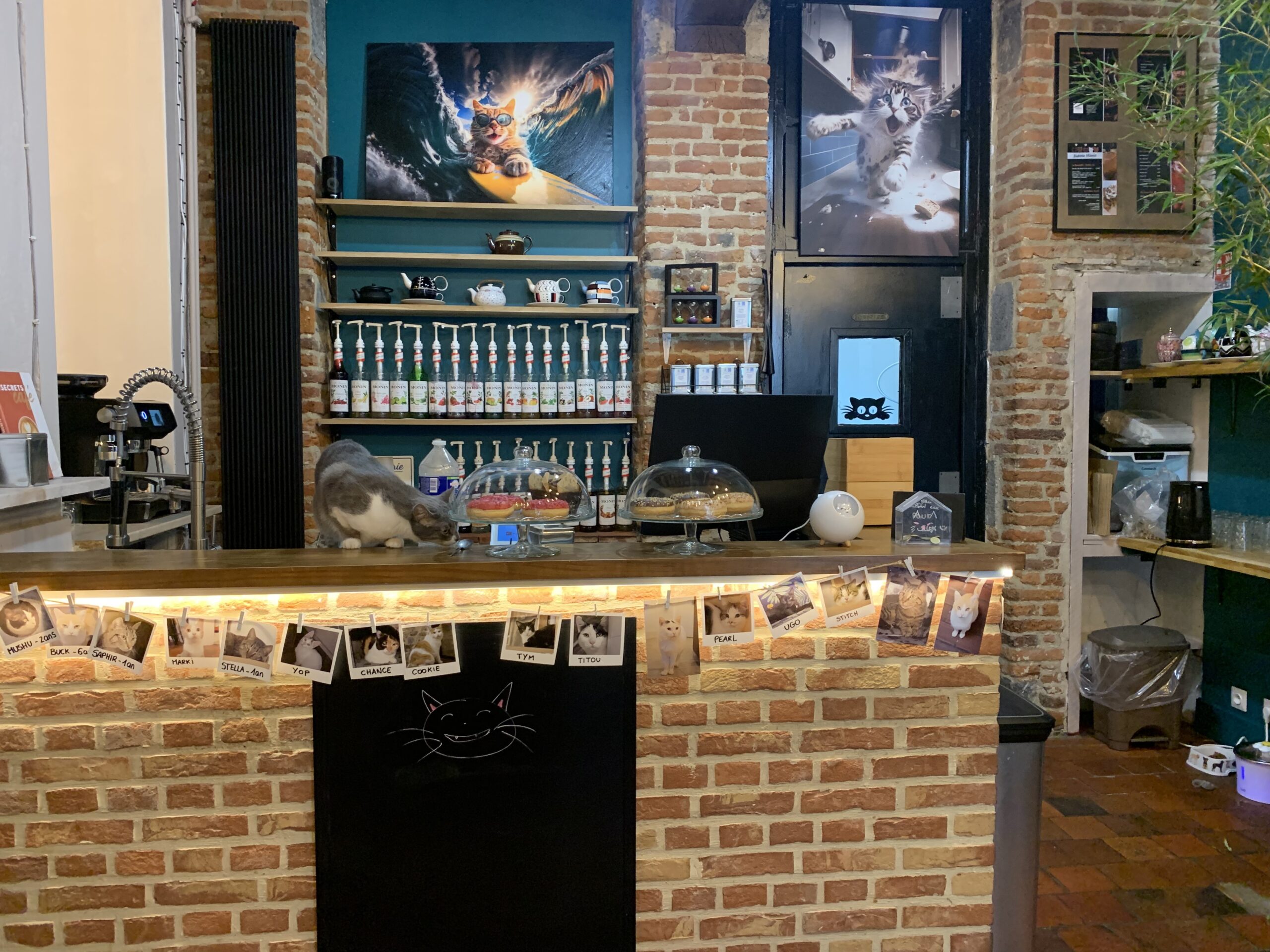 Cafélin