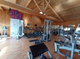 Athletic body center
