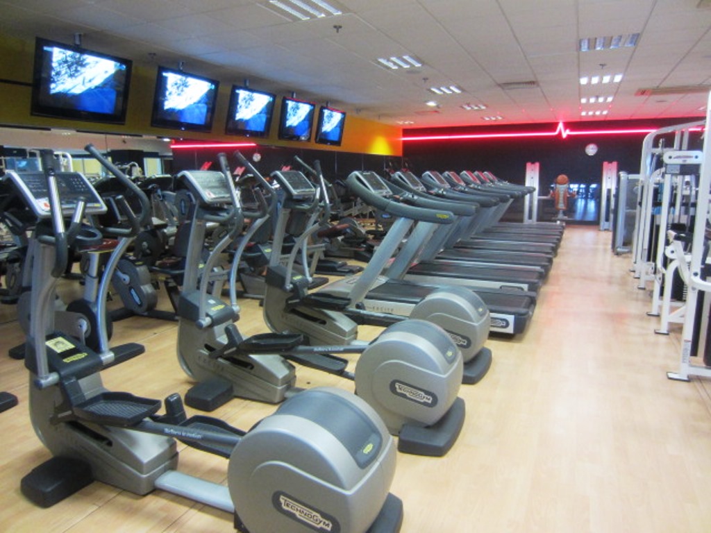 Fitness Plus