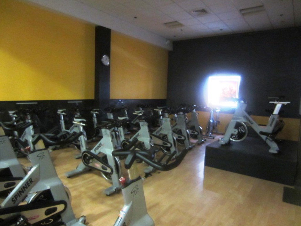 Fitness Plus