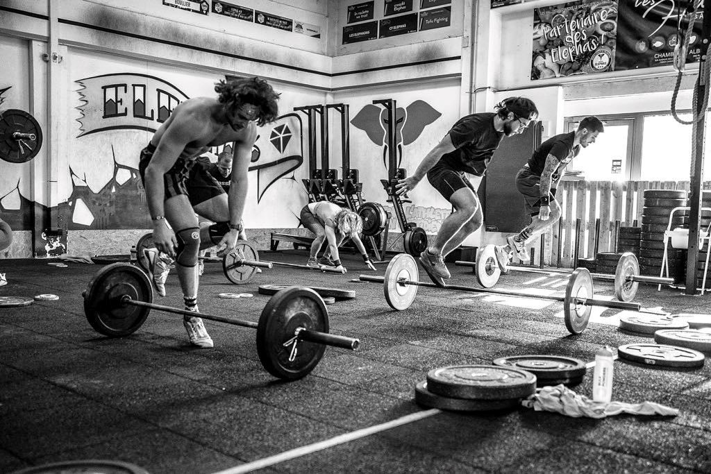 Crossfit Elephas