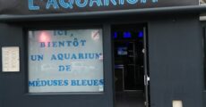 L'Aquarium