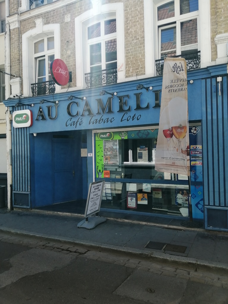 Au Camelia