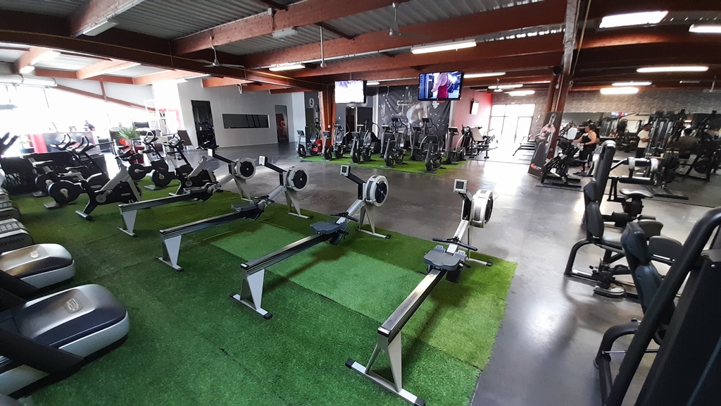 Flex Gym Performance