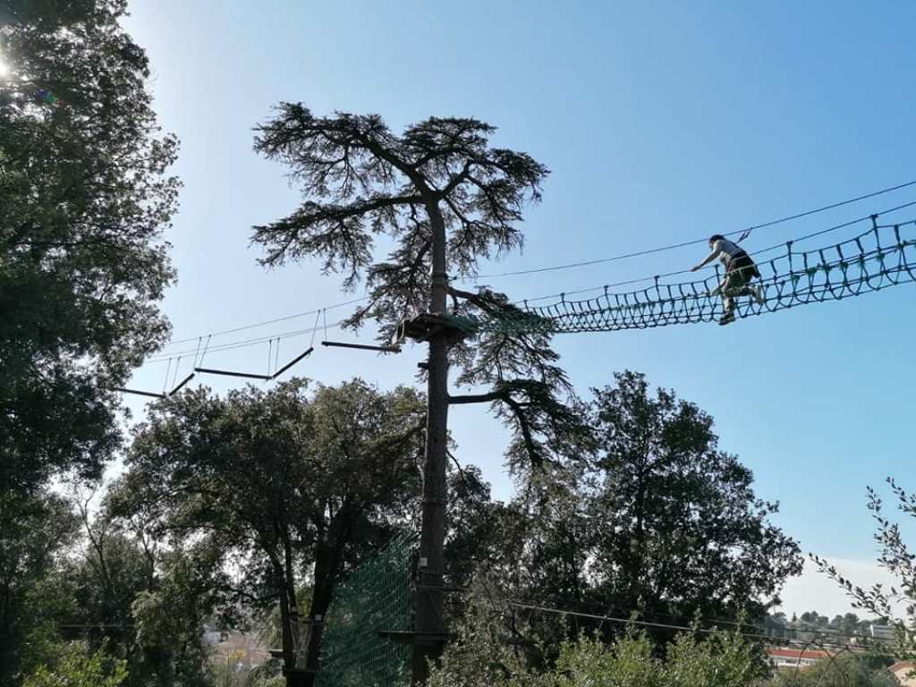 Ecopark Adventures