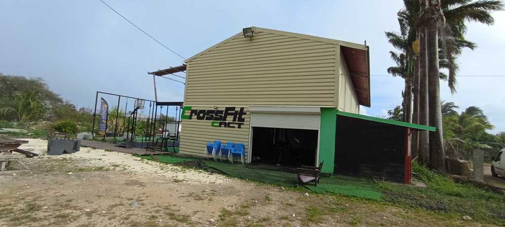 Crossfit Cact