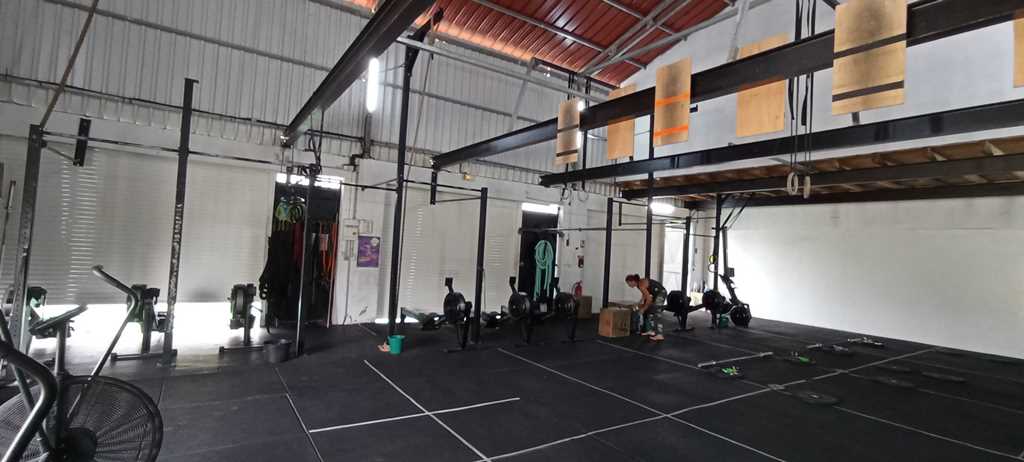 Crossfit Cact