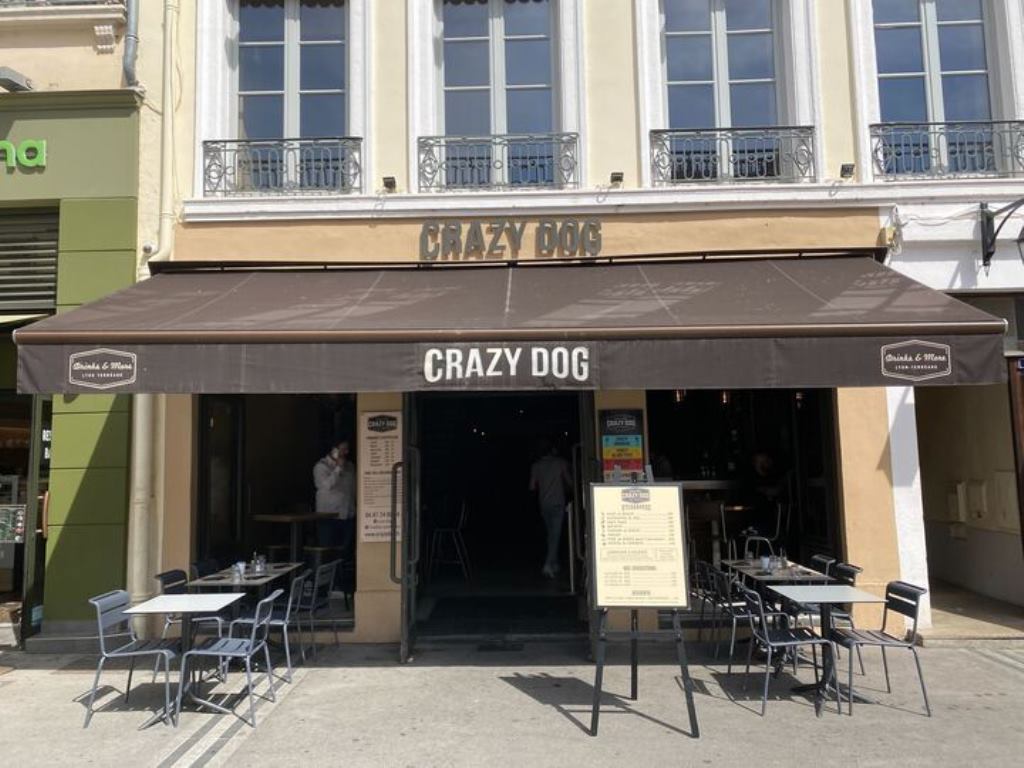 Crazy Dog