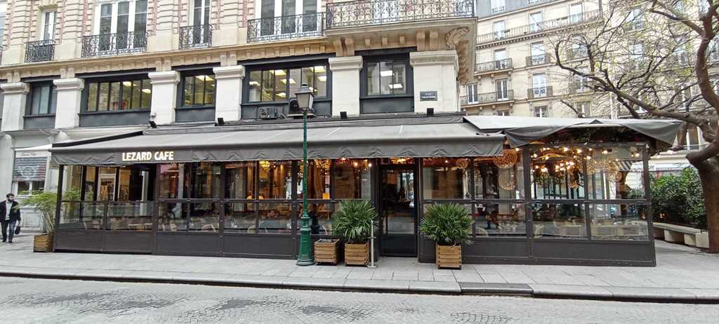 Lézard café