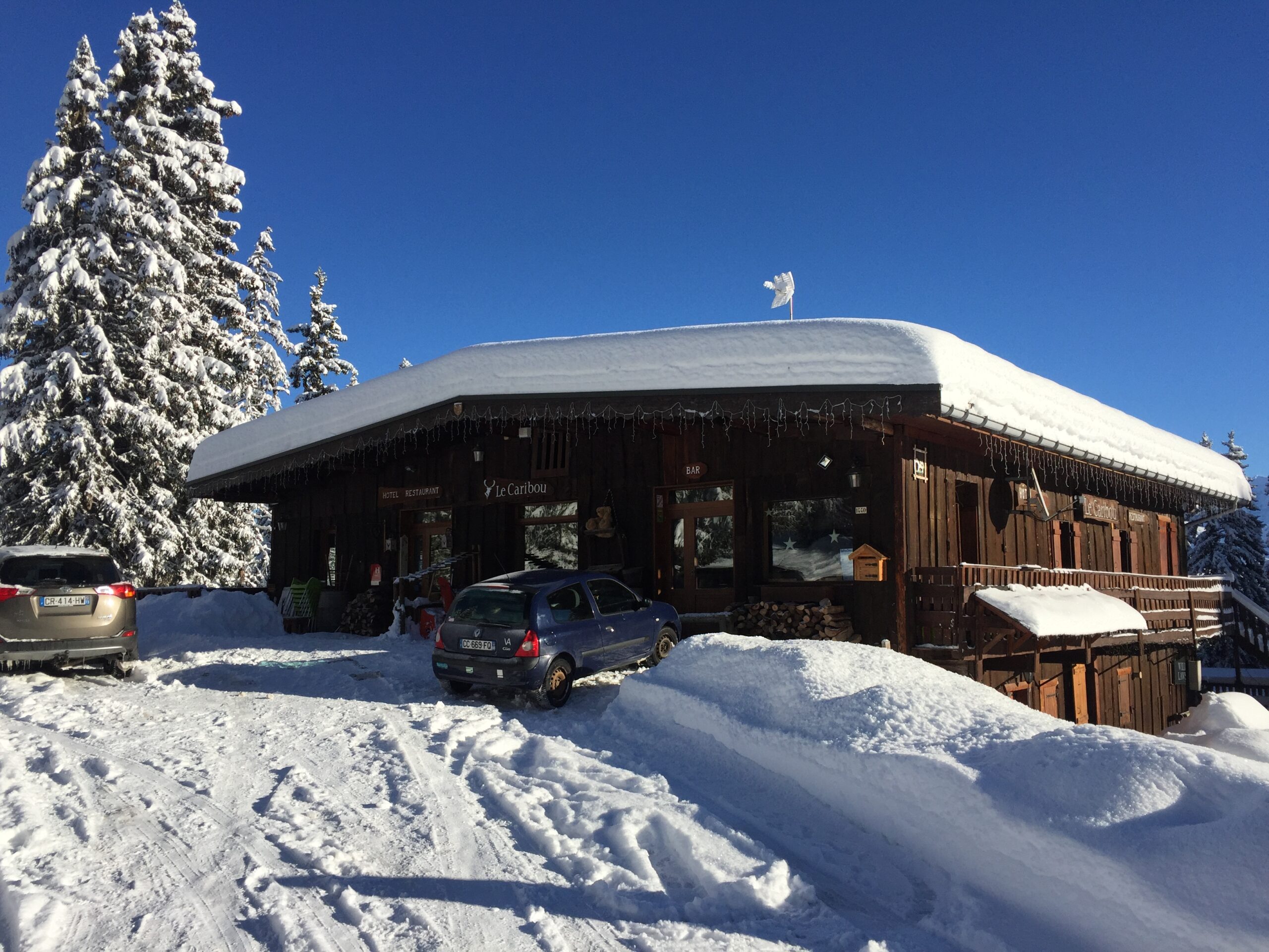 Le Caribou