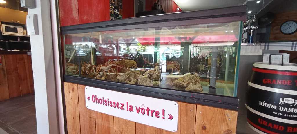 Le Plaisancier