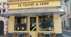 Le Camel à Léon