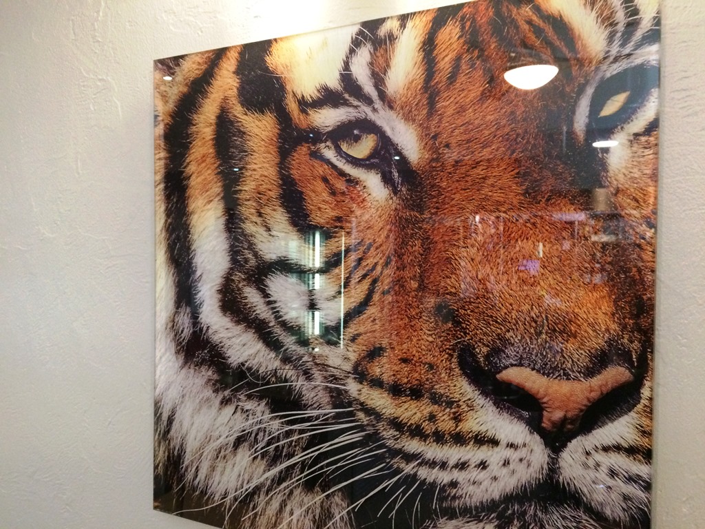 Le Tigre