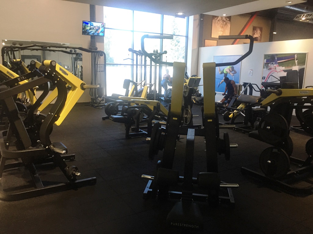 One Fitness Club