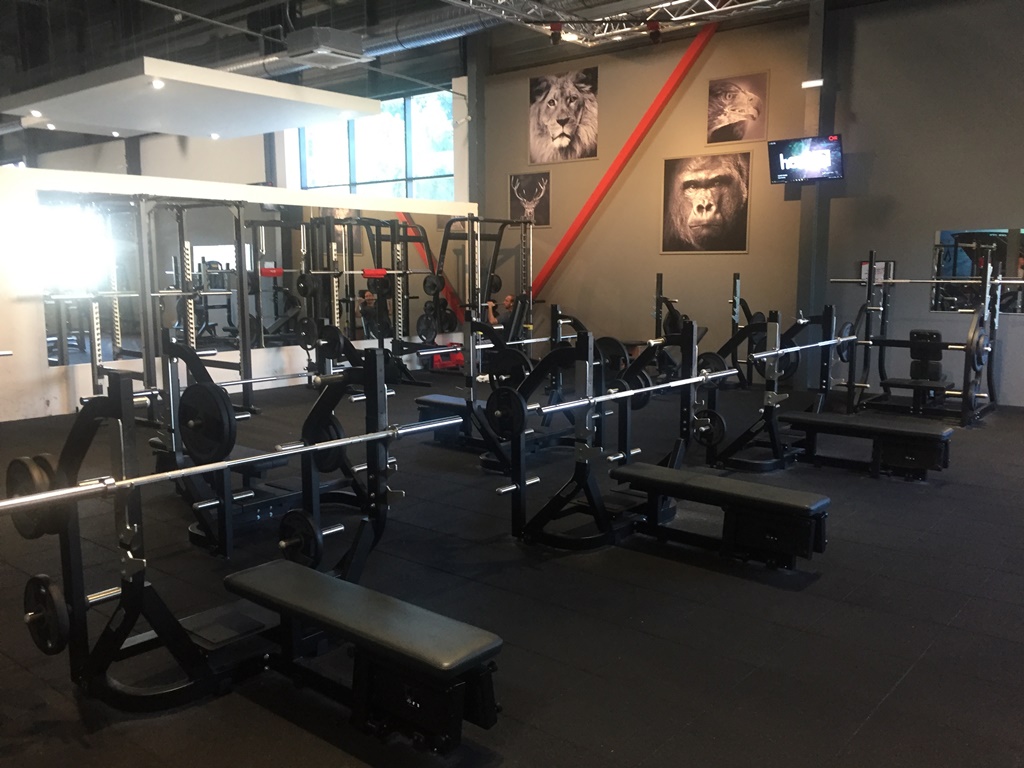 One Fitness Club