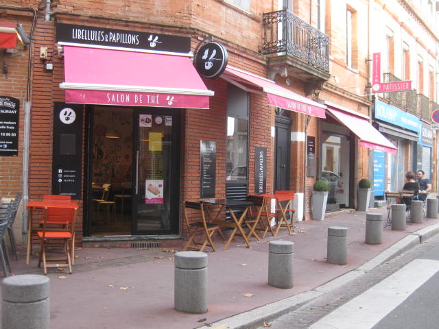 Libellules et Papillons