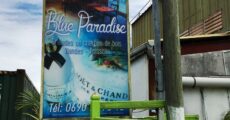 Blue Paradise