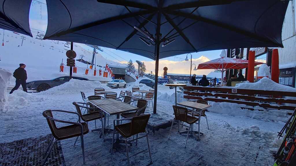 The Marmot Arms
