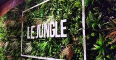 Le Jungle