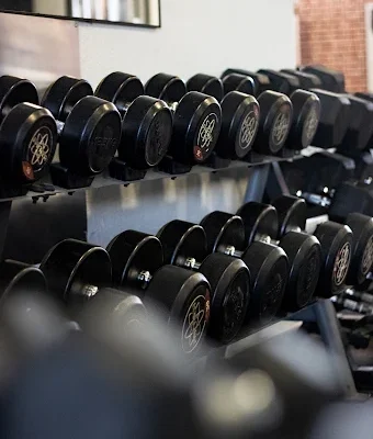 Fitness Factory