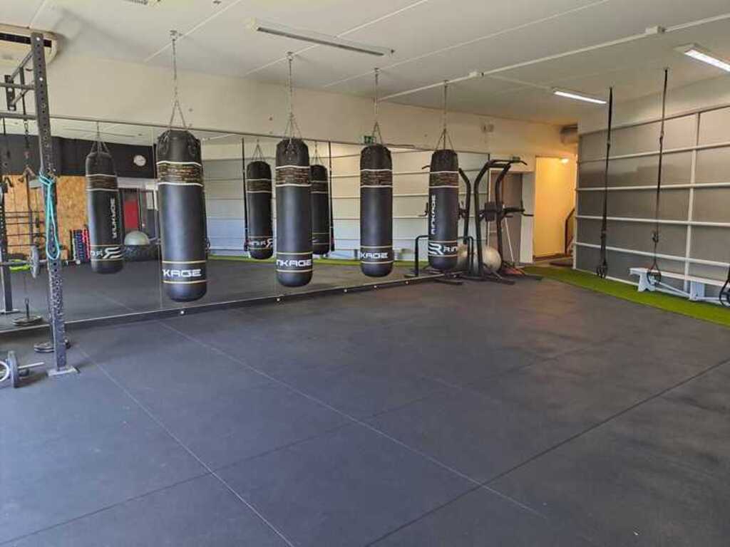 Fighting Arts Academy