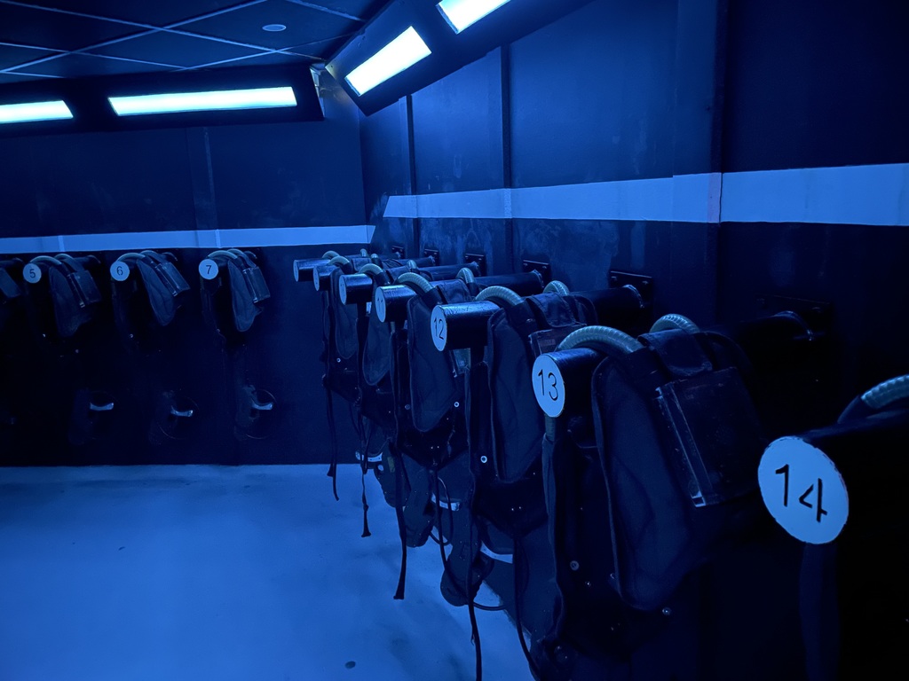 Laser Game Evolution