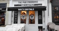 The Pug Paradise