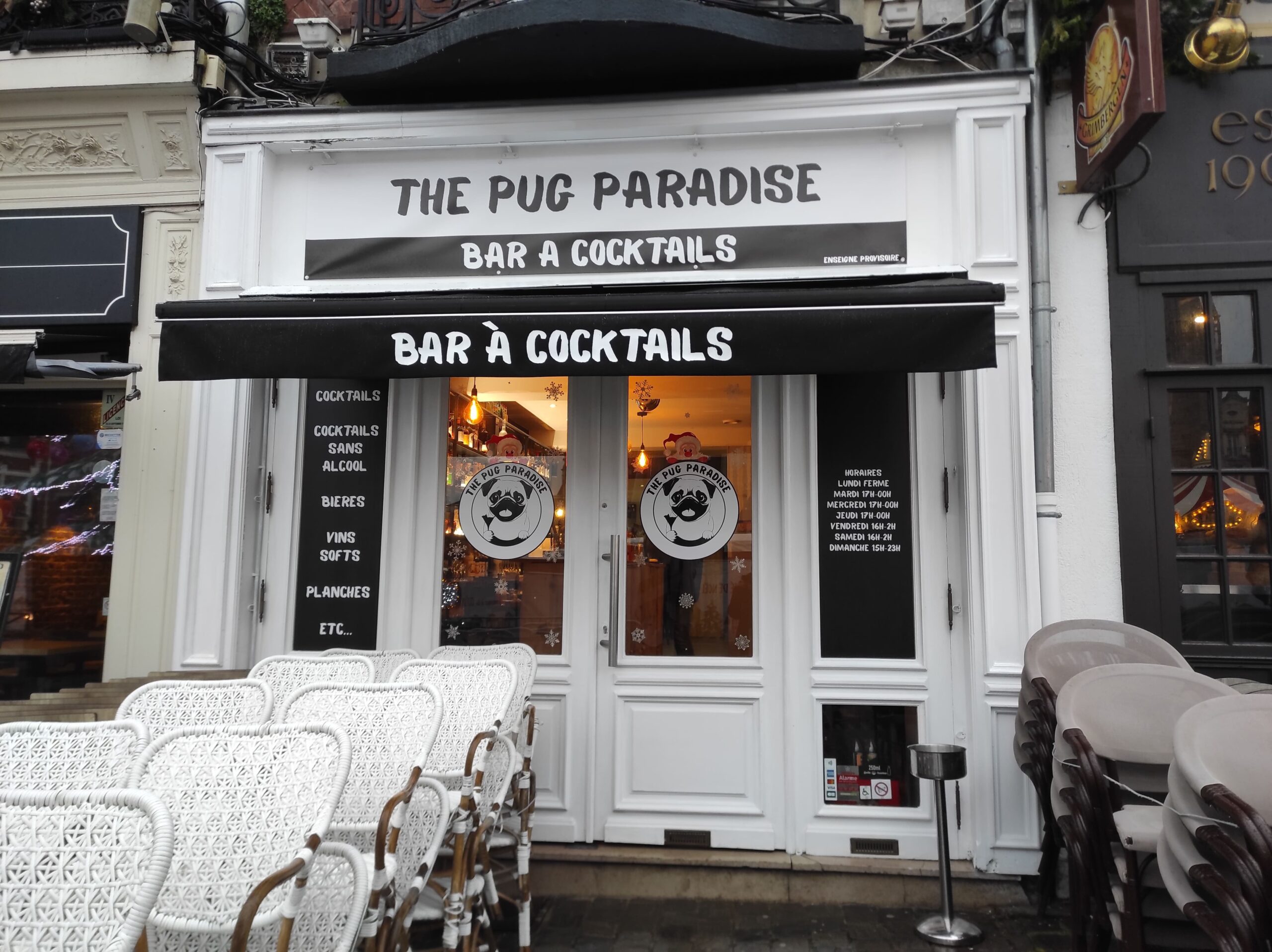 The Pug Paradise