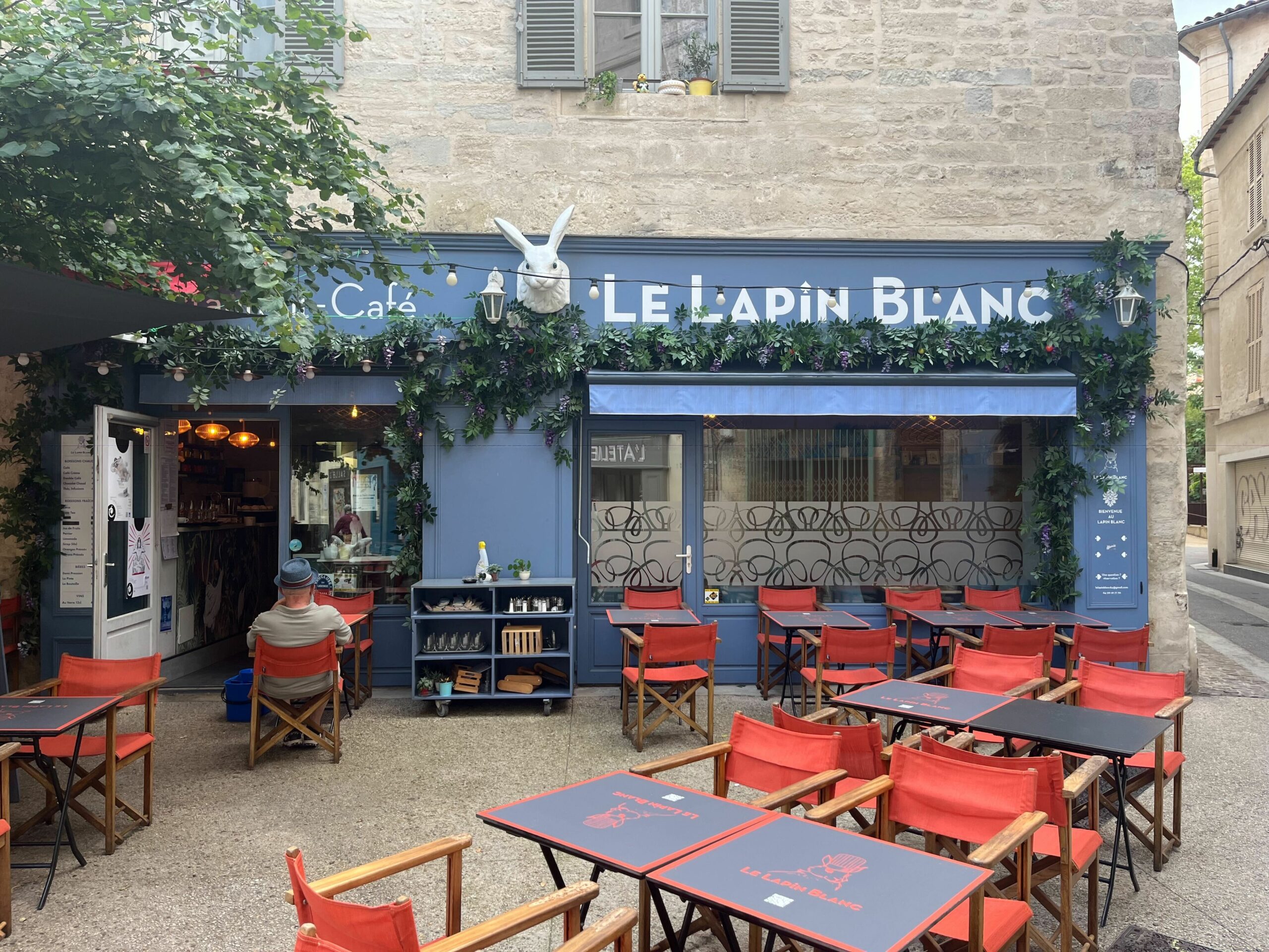Le lapin blanc