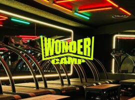 Wonder Camp