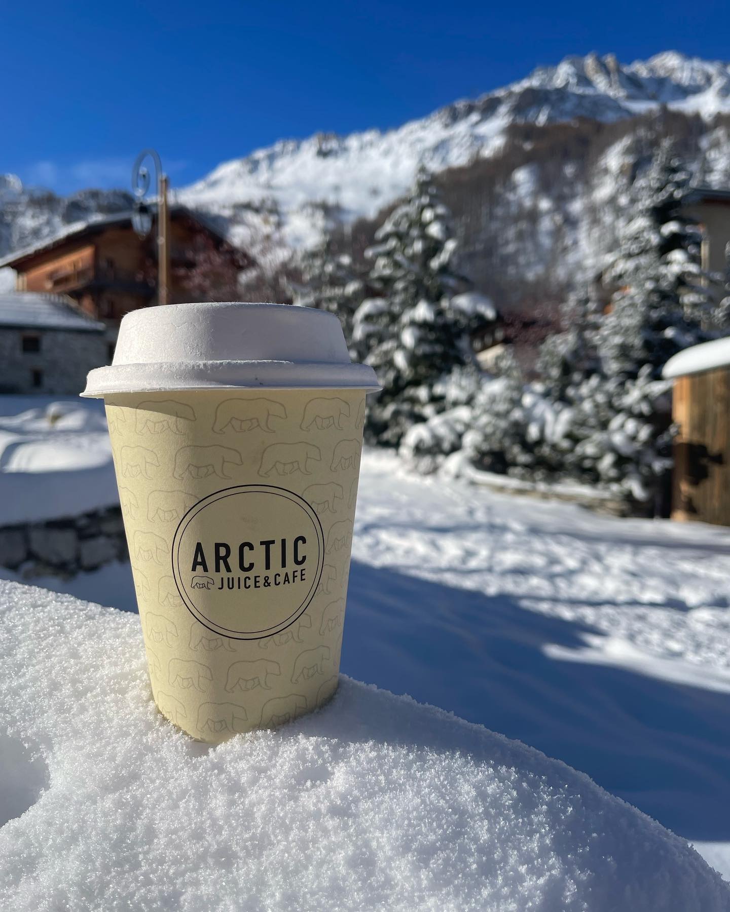 Arctic Juice café