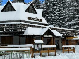 Restaurant L'Igloo