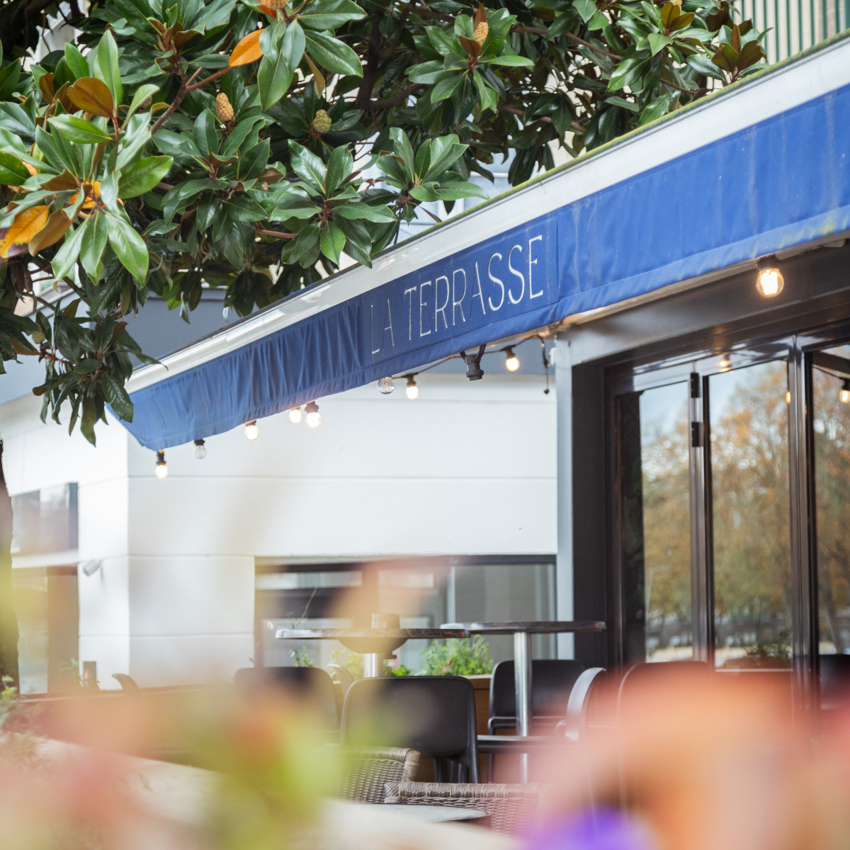 La terrasse