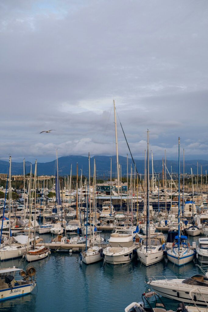 Le Port nice