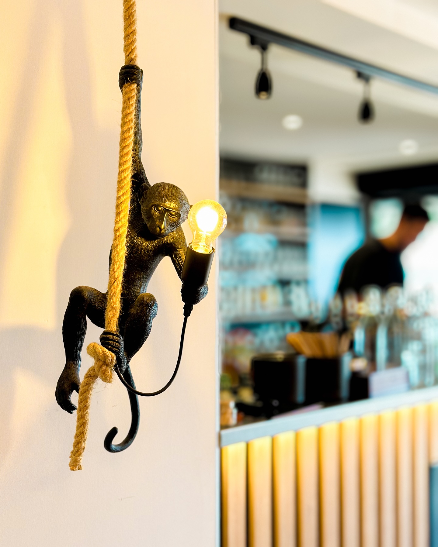 Les 2 Singes