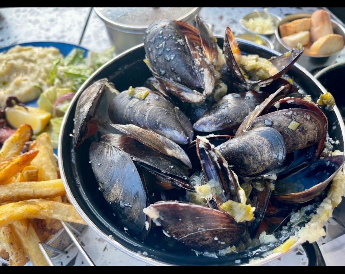 La petite cigale