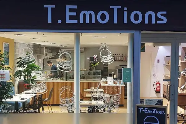 T emotions