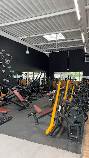 Wefit