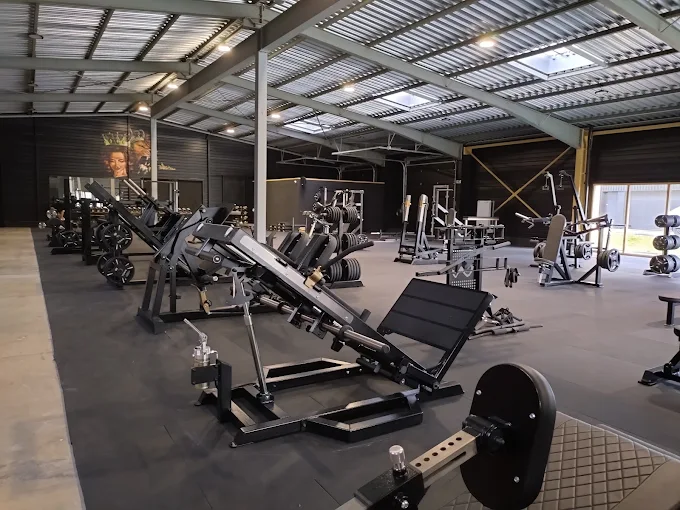 Qg Fitness