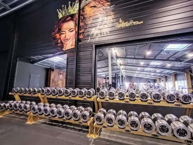 Qg Fitness