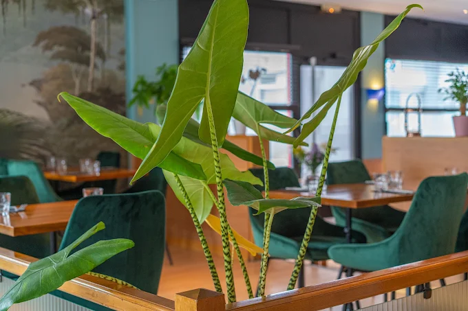 Brasserie Bistrot des Artistes